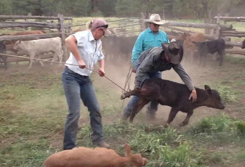 Maaseutuhotelli Grand Canyon Ranch & Outfitters