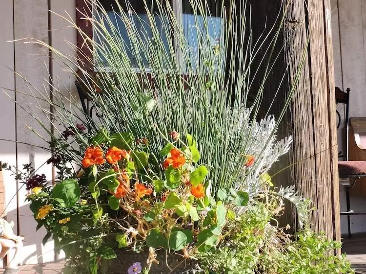 Maaseutuhotelli Grand Canyon Ranch & Outfitters