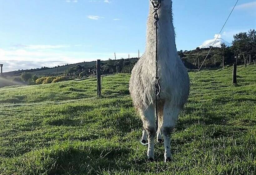 Landelijk hotel Hacienda El Porvenir