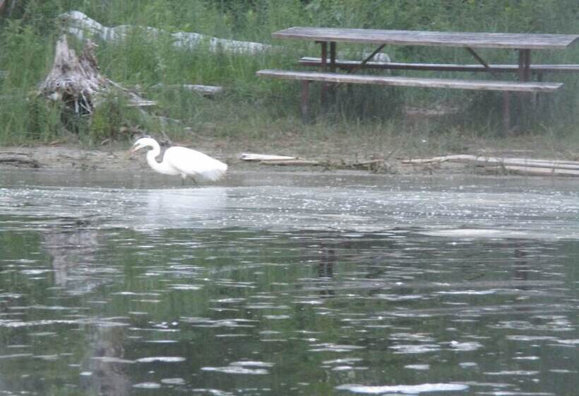 酒店 Sauble River Marina And Lodge Resort