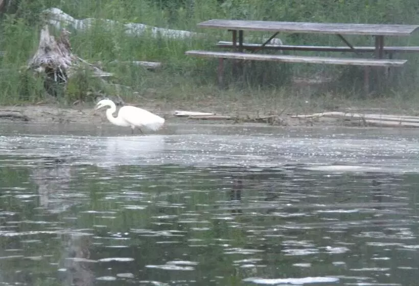 Hotelli Sauble River Marina And Lodge Resort