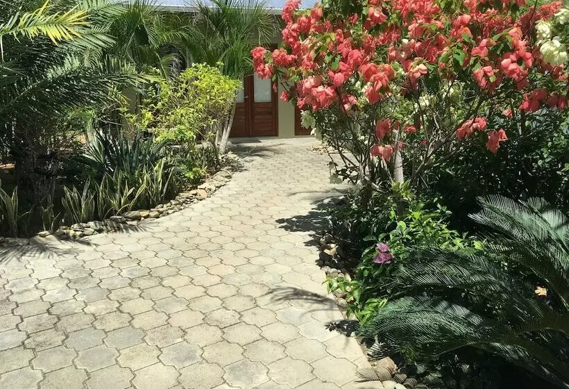 Hotelli Soma Surf Resort