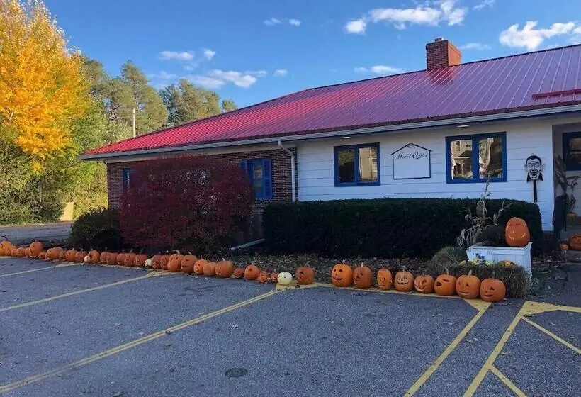 Motelli Bridgetown Motor Inn