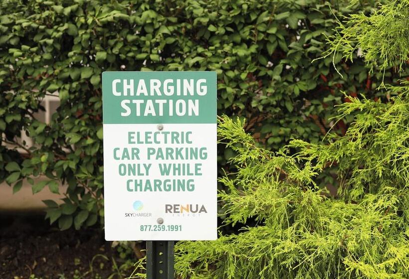 מוטל Chatham Travel Lodge