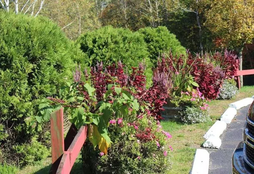 Motelli Chatham Travel Lodge