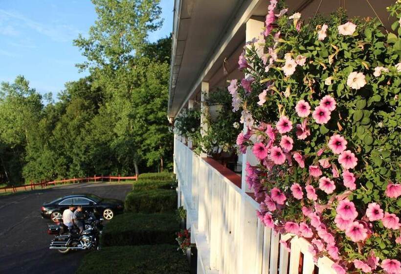 מוטל Chatham Travel Lodge