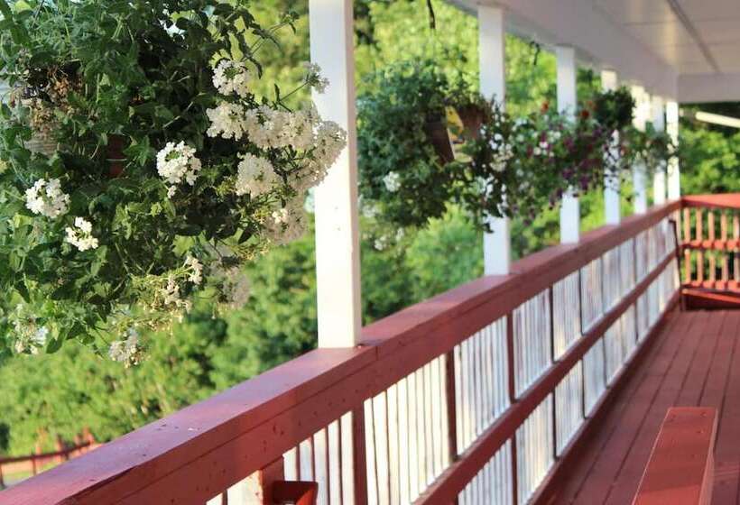 מוטל Chatham Travel Lodge