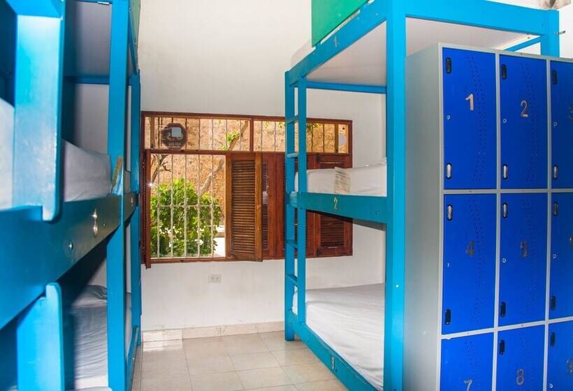 Pachamama Hostel Cartagena