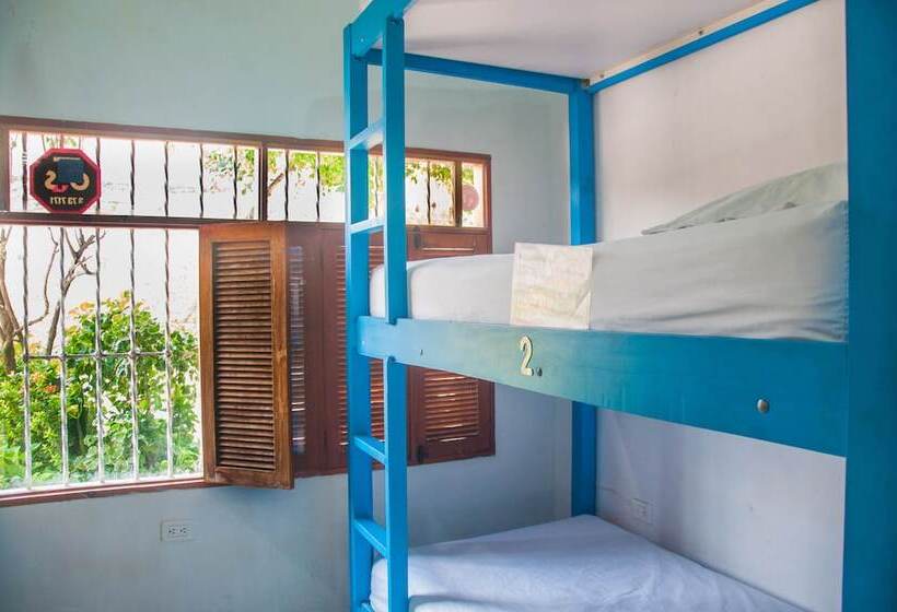 Pachamama Hostel Cartagena