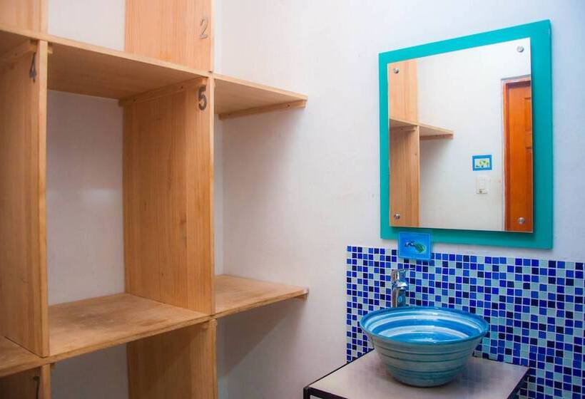 Pachamama Hostel Cartagena