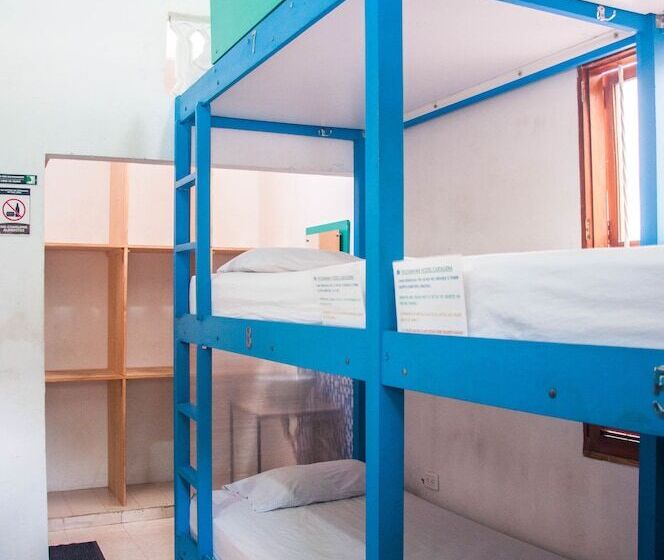 Pachamama Hostel Cartagena