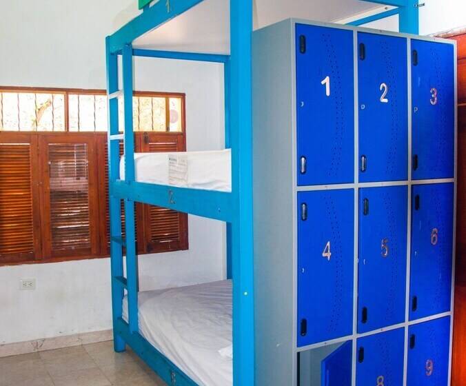 Pachamama Hostel Cartagena