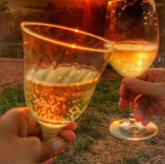 Pousada, Pesqueiro E Adega Pauletto