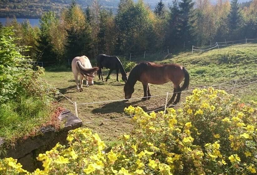Telemark Camping & Inn   Eldhuset Cabin