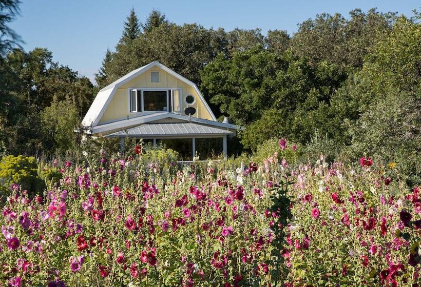 مبيت وإفطار Blue Lake Ranch