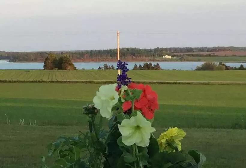 Greenwich Moonlight Bay Cottage