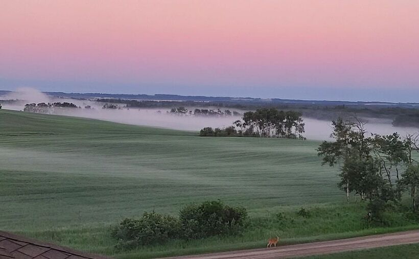 Honeycomb Bed & Breakfast