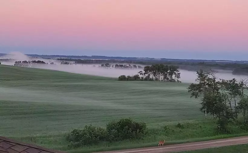 Honeycomb Bed & Breakfast