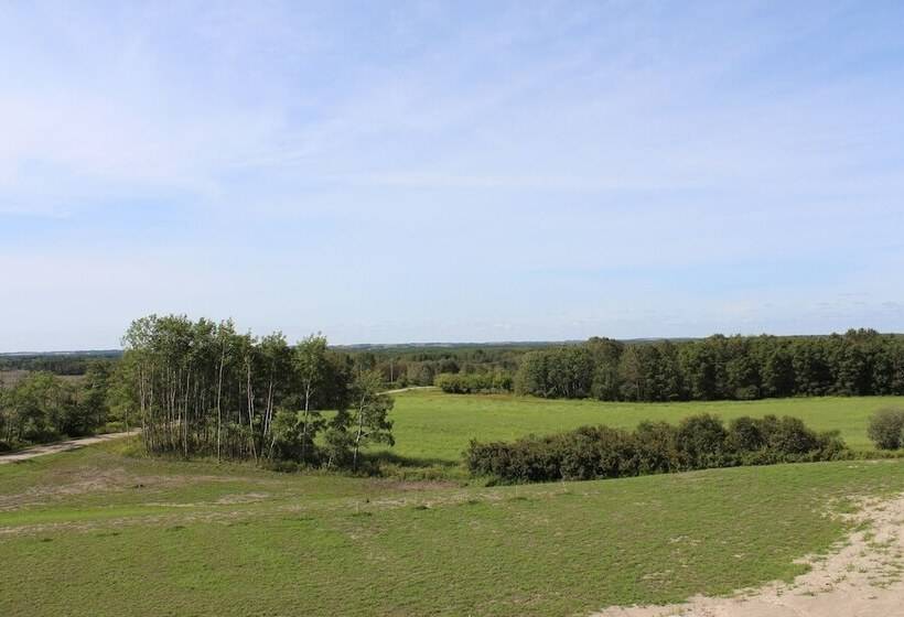 Honeycomb Bed & Breakfast