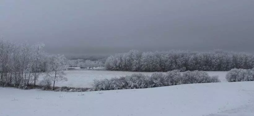 Honeycomb Bed & Breakfast
