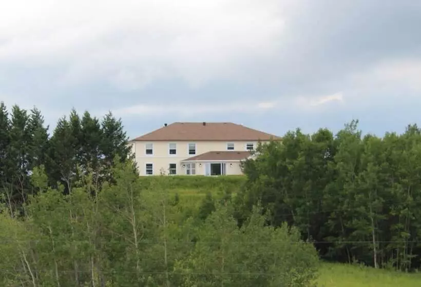 Honeycomb Bed & Breakfast