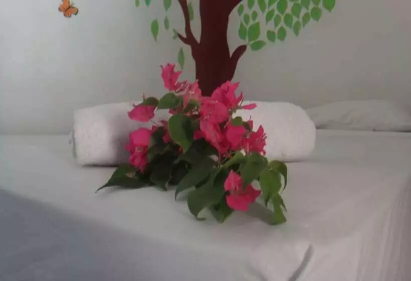 Hostel Sonati