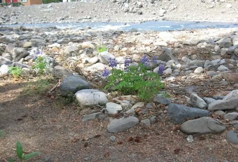 Hotelli The Perch Resort