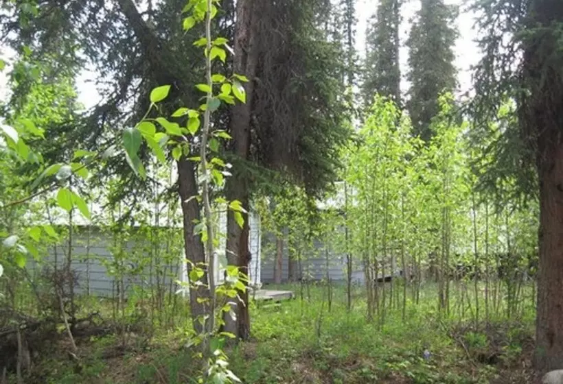 Hotelli The Perch Resort