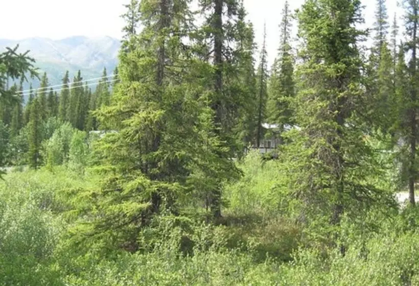 Hotelli The Perch Resort