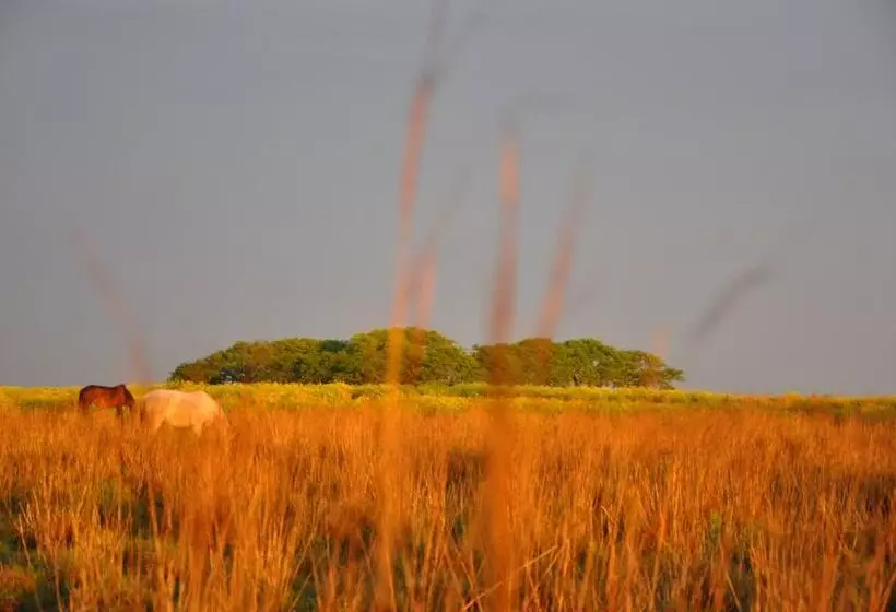 ホテル Estancia Don Joaquin