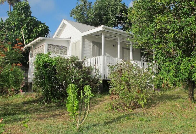 هتل Green Roof Inn