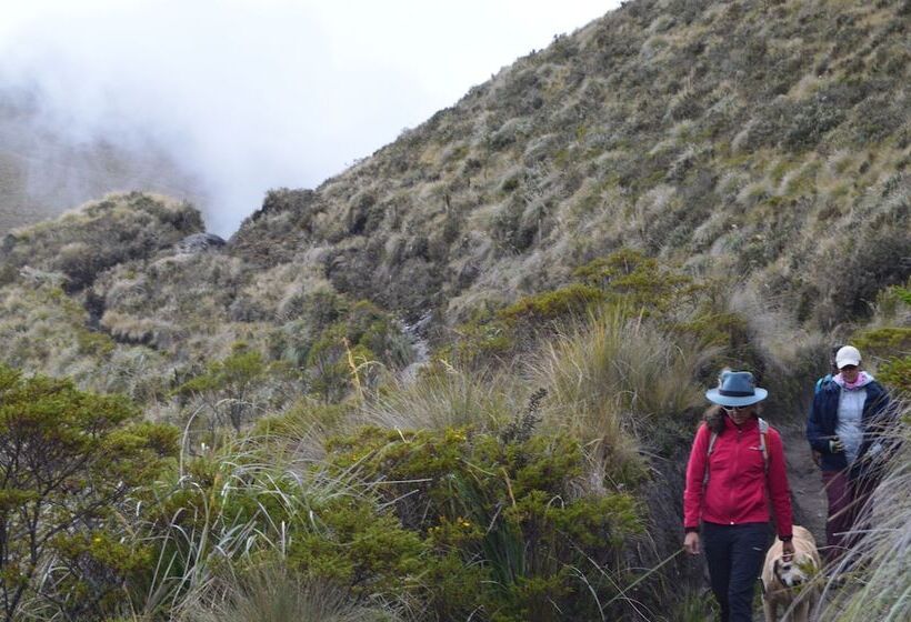 ホテル Hacienda San Francisco