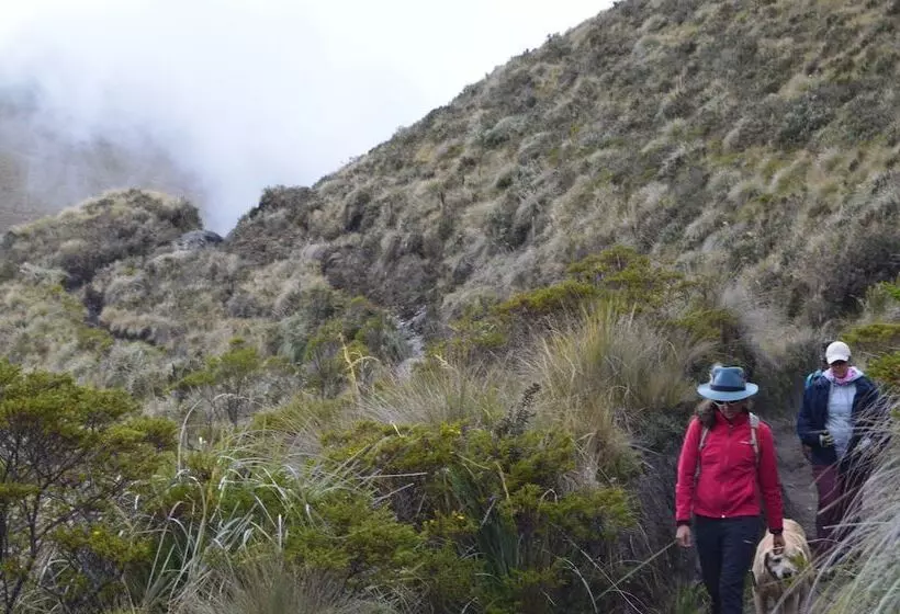 ホテル Hacienda San Francisco