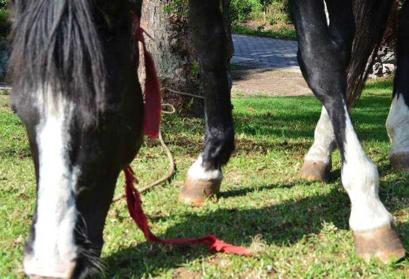 ホテル Hacienda San Francisco