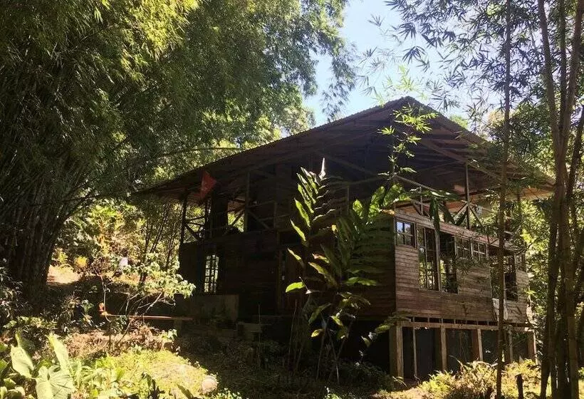 Hotelli Huella Verde Rainforest Lodge