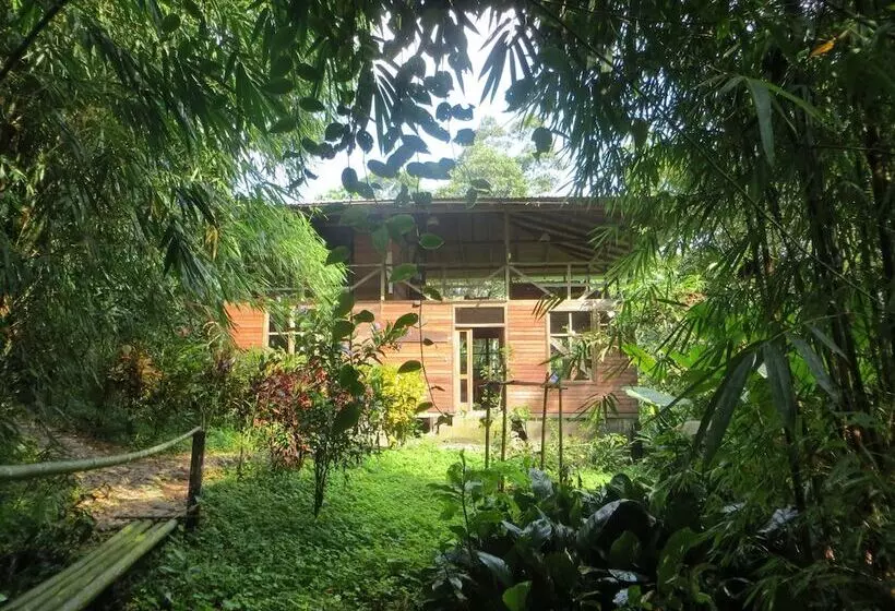 Hotelli Huella Verde Rainforest Lodge
