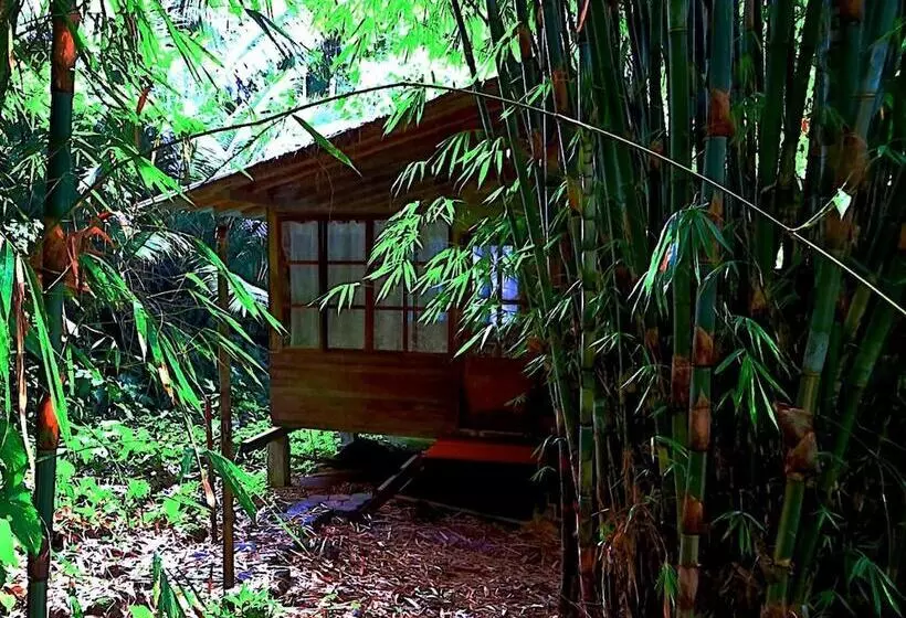 Hotelli Huella Verde Rainforest Lodge
