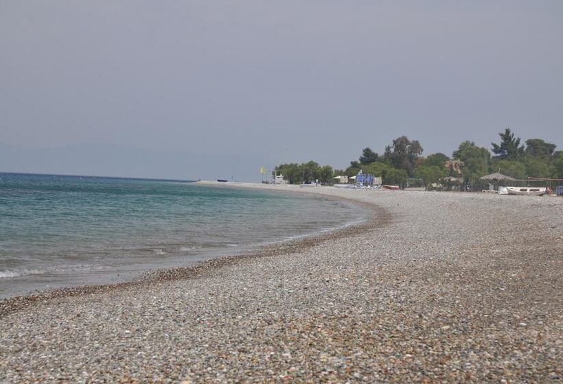 酒店 Irene Studios