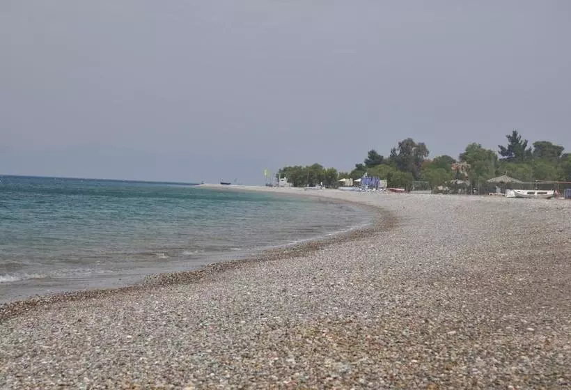 ホテル Irene Studios