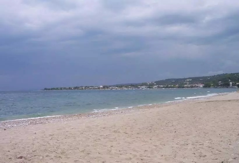 ホテル Irene Studios