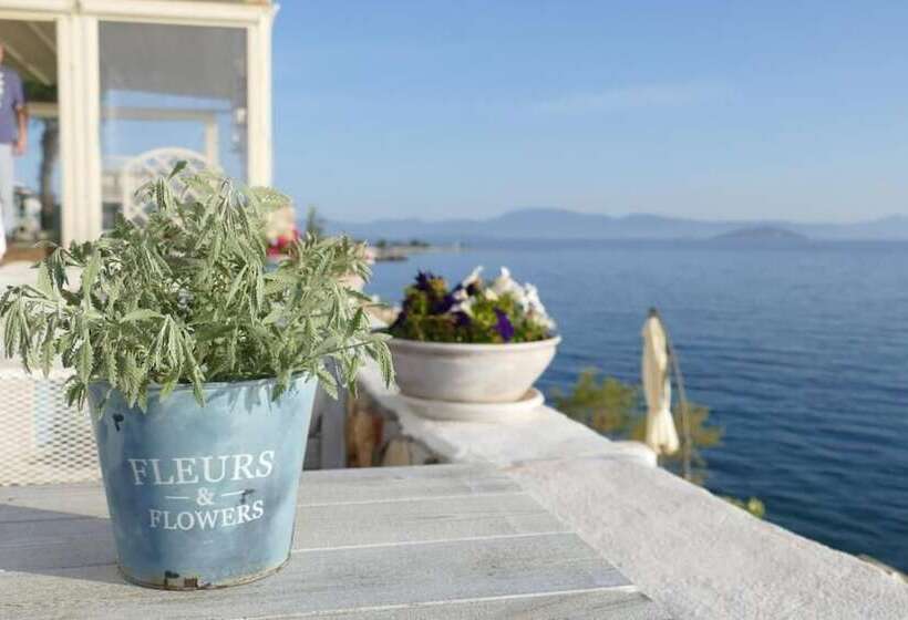 בית מלון כפרי Kekrifalia