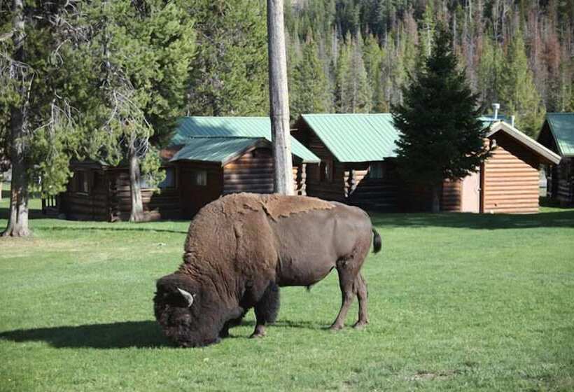 Отель Pahaska Tepee Resort