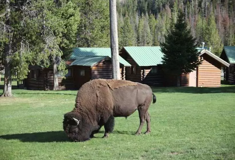 Hotelli Pahaska Tepee Resort