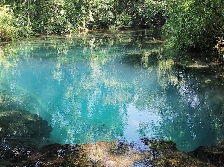 هتل Pulhapanzak Waterfalls Cabins