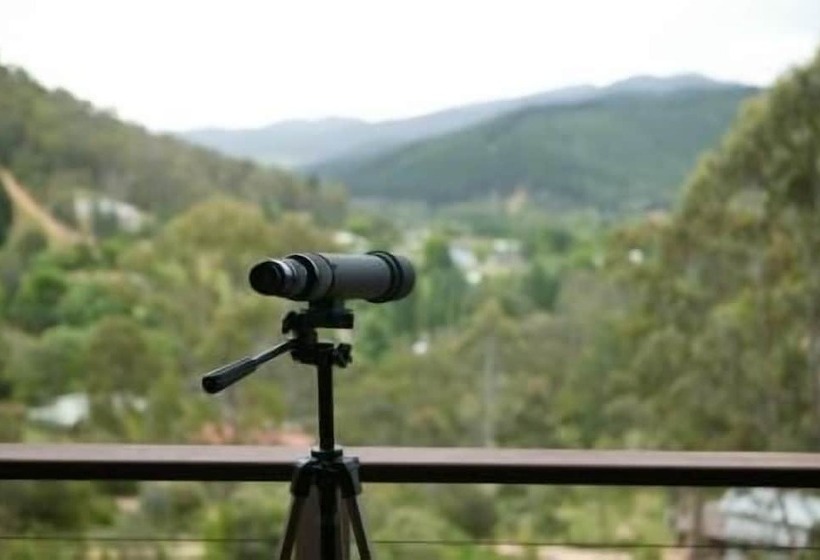 فندق The Odd Frog