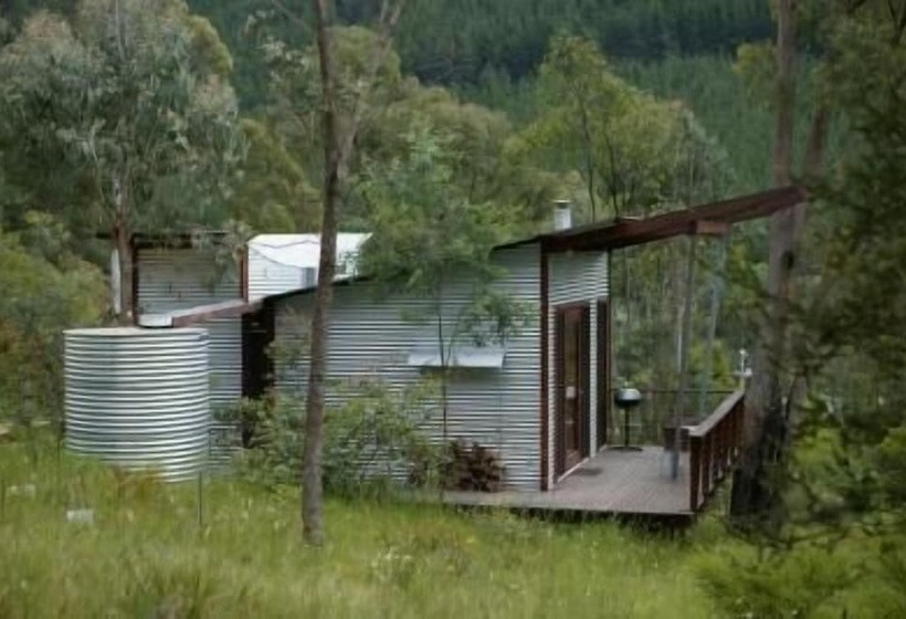 فندق The Odd Frog