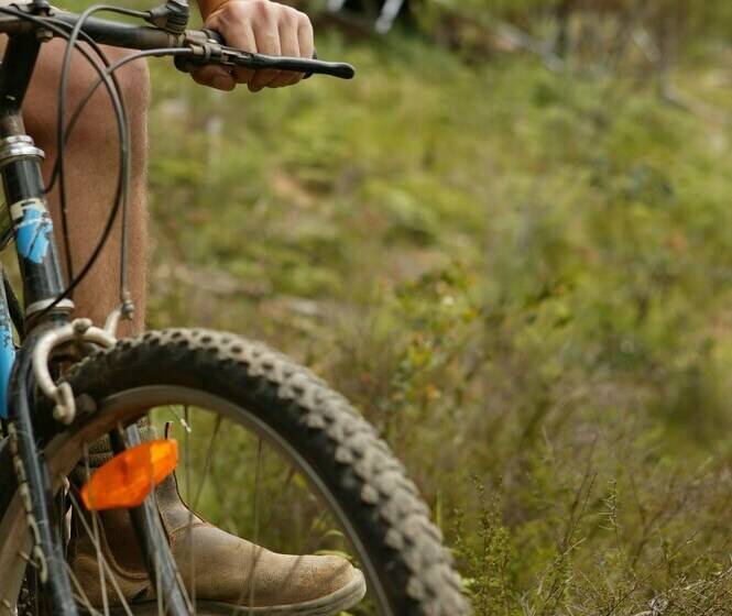 فندق The Odd Frog