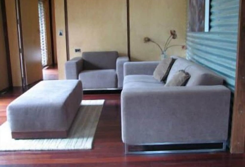 فندق The Odd Frog