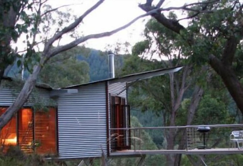 فندق The Odd Frog