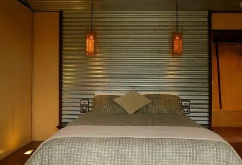 فندق The Odd Frog